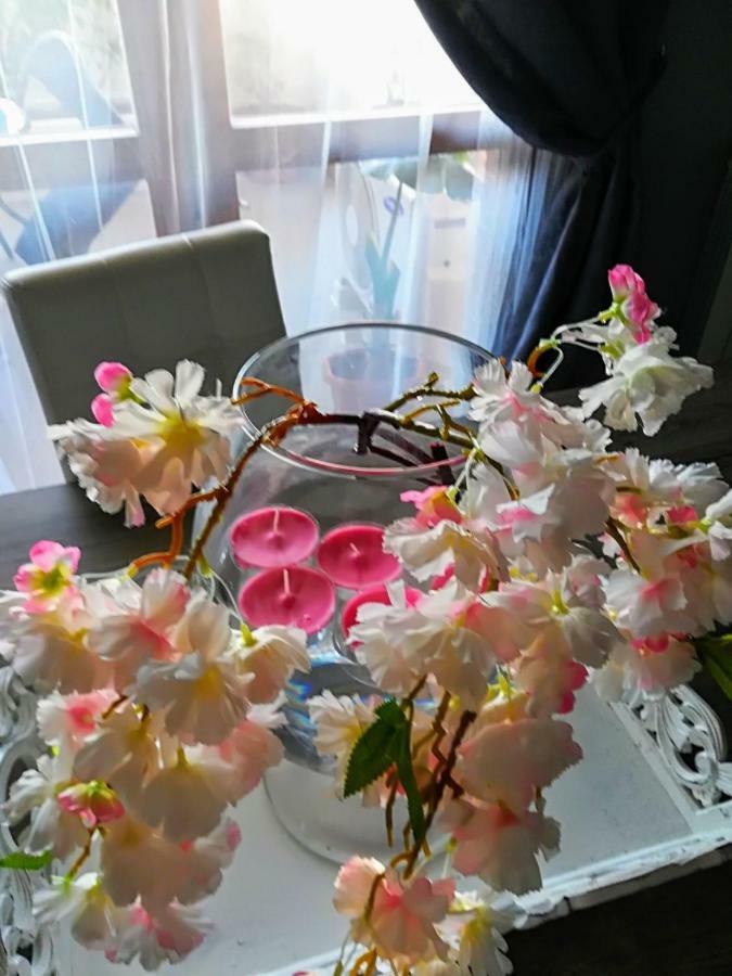 Airport & Fair Suite Apartments ฟิวมิชีโน ภายนอก รูปภาพ